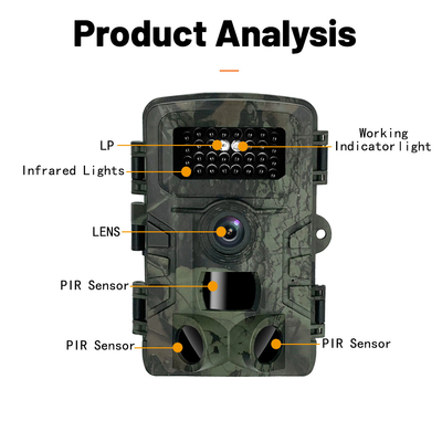 PR700 4K Arka Kamera 36MP IP54 2.0 LCD Ekran Gece Görüşlü Yaban Hayatı Kamerası